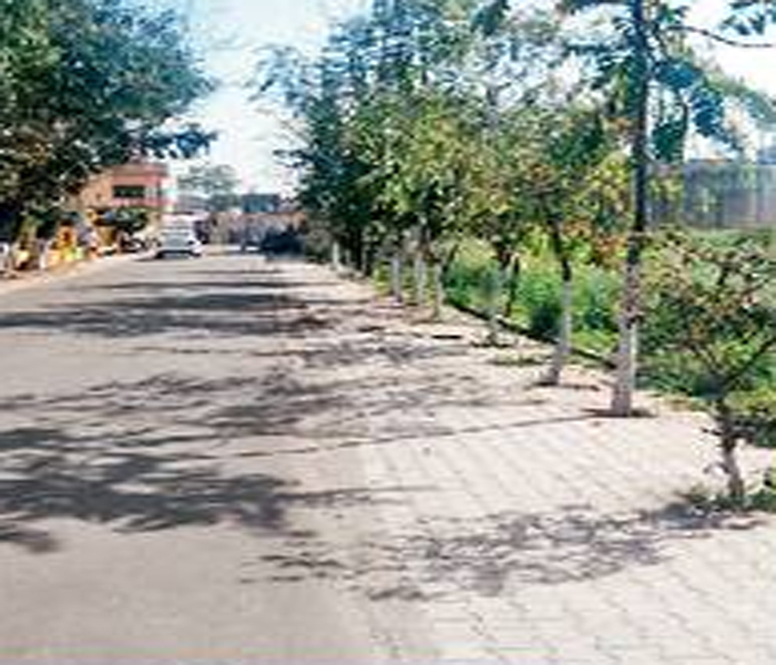 PunjabKesari